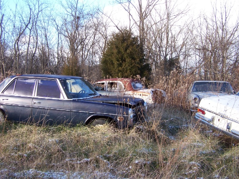 Illustration for article titled Over 1,000 Vintage Mercedes-Benzes Await The Cruel Jaws Of The Crusher In Kentucky